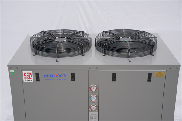 Advantages of Investing in a Packaged Scroll Refrigeration Unit for Your Business