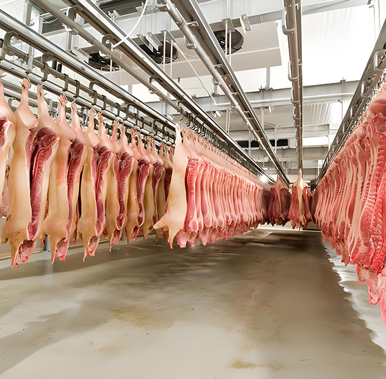 Slaughter meat Cold Room Application